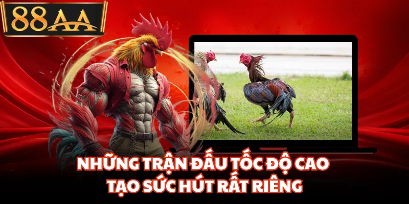 Những trận đấu tốc độ cao tạo sức hút rất riêng