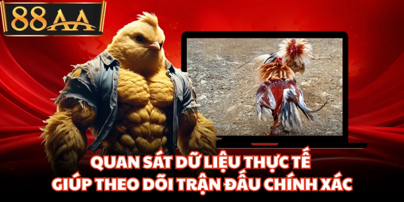 Quan sát dữ liệu thực tế giúp theo dõi trận đấu chính xác